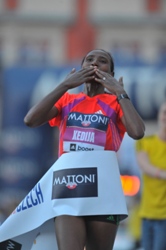 Ceske Budejovice Half Marathon