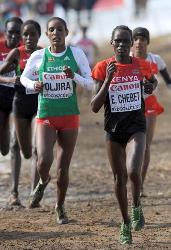 World Cross Country Championships