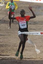 World Cross Country Championships