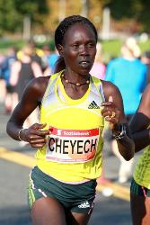 Scotiabank Toronto Waterfront Marathon