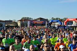 Venice Marathon