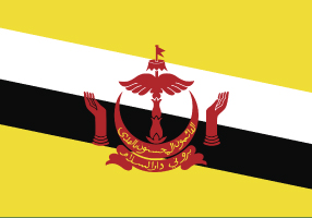 Flag of Brunei