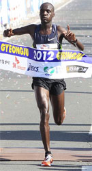 Gyeongju Marathon