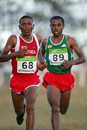 Tadesse and Bekele