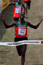 Dutch runner Hilda Kibet runs to win the women race at the European News  Photo - Getty Images