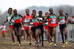 Dutch runner Hilda Kibet runs to win the women race at the European News  Photo - Getty Images