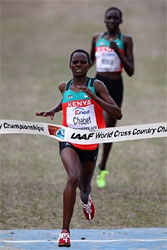 Dutch runner Hilda Kibet runs to win the women race at the European News  Photo - Getty Images