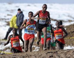 World Cross Country Championships