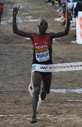 World Cross Country Championships