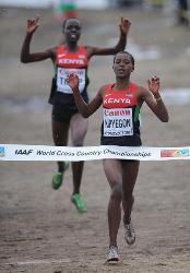 World Cross Country Championships