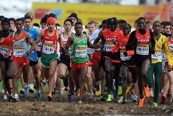 World Cross Country Championships