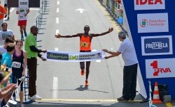 Belgrade Marathon