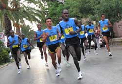 2008 Tangamanga Marathon