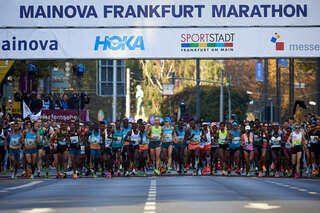 Fire fighters take part in the 28th Hamburg marathon in Hamburg