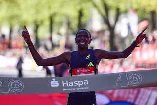 2026 jp 11291